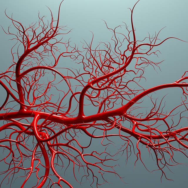 Cellular reprogramming and ageing