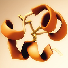 neuropeptide research