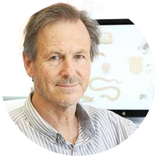 Professor Richard Lewis