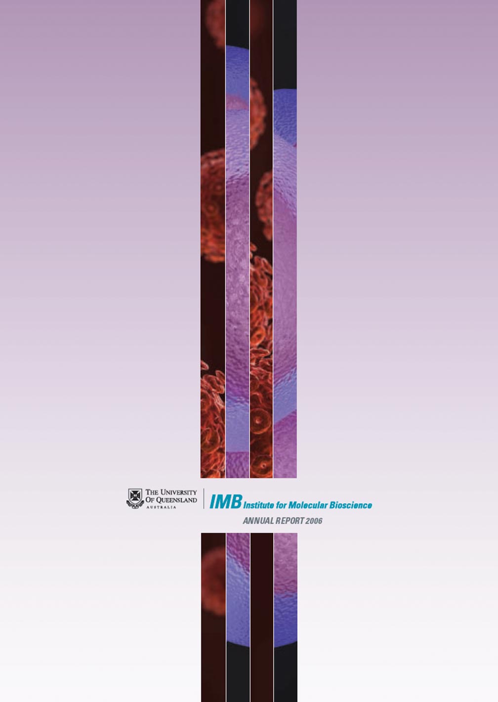 2006 annual report cover